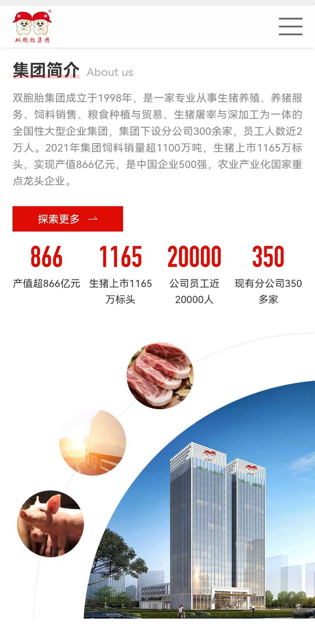 上胞胎.jpg